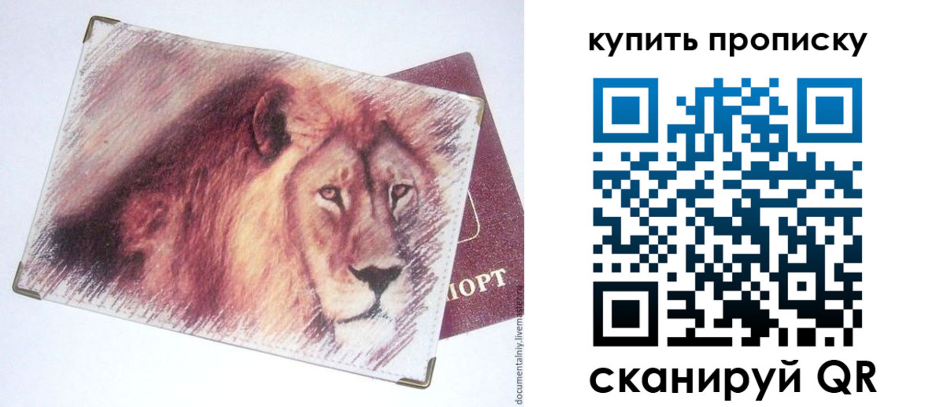 прописка паспорт в Свободном